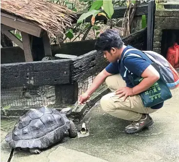  ??  ?? Visitors to this place can interact with some of the animals, such as this gigantic tortoise. — CHESTER CHIN/The Star