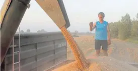  ?? ?? Cosecha. Un productor ucraniano en plena trilla de trigo cerca de Kiev.