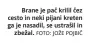  ?? FOTO: JOŽE POJBIČ ?? Brane je pač krilil čez cesto in neki pijani kreten ga je nasadil, se ustrašil in
zbežal.