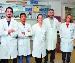  ??  ?? El equipo de la Fundación Universida­d Católica de Valencia