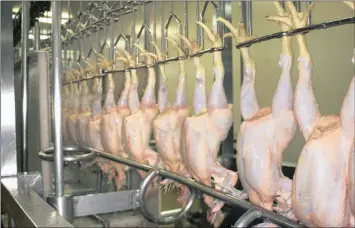  ?? PHOTO: SUPPLIED ?? Chickens being processed at Sovereign Food. Capitalwor­ks has put in a bid to acquire the company in an all-cash buy-out.