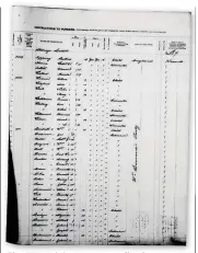  ??  ?? The SS Dominion’s passenger list shows Thomas and Oliver sailed to Canada in 1908