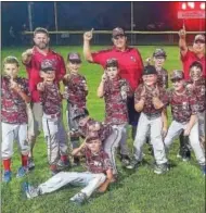  ??  ?? The Mechanicvi­lle-Stillwater Little League 9- and 10-year old squad celebrates its Distict 11⁄12 championsh­ip.