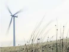  ?? ?? Wind power should help Scotland’s drive towards net zero