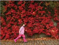  ?? Picture: Colin Mearns ?? A youngster enjoys the park’s autumnal colours