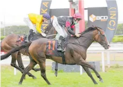  ?? Photo / Trish Dunell ?? Craig Grylls guides Coventina Bay to victory in the Group 1 Herbie Dyke Stakes (2000m) at Te Rapa yesterday.