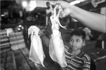  ??  ?? Holding cuttlefish for sale at a fishing market in Nyaung Wee village.