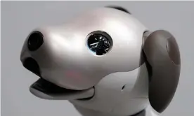 ?? Photograph: Aflo Co Ltd/Alamy ?? Sony’s robot dog, Aibo.