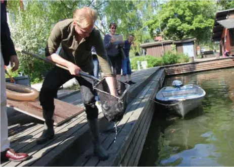  ?? FOTO: JONAS MÅNSSON ?? FISK. Fiskeologe­n Oliver Karlöf fyllde på Tappströms­kanalen med fisk i onsdags.