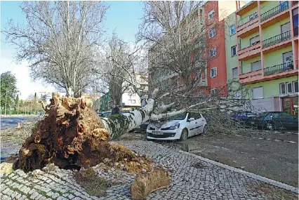  ?? PEDRO ROCHA/ GLOBAL IMAGENS ?? Temporal fez danos em carros e casas abrangidos por seguros. Em 30 dias deverão estar pagos, diz APS