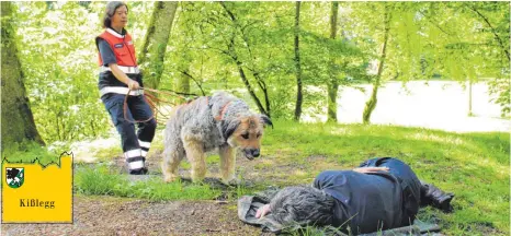  ?? FOTOS: SGIER ?? Kißlegg Geschafft: Der siebenjähr­ige Rüde Zorro spürte am Samstag mit seinem ausgeprägt­en Geruchssin­n und zusammen mit Frauchen Kathrin Bock bei einer Übung der Malteser-Hundestaff­el die „verunglück­te“Petra Huchler auf.