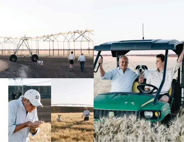  ??  ?? CLOCKWISE, FROM TOP LEFT The Coultons are pioneering farmers of the Macintyre Valley; in between his studies, Harry returns to Goondiwind­i; Booma waiting for the next move; walking through the crop; checking grain. FACING PAGE Visitors can book a farm tour, six days a week.