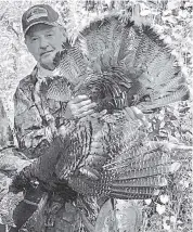  ?? STEVE WATERS ?? Ron Bergeron with a wild turkey gobbler.