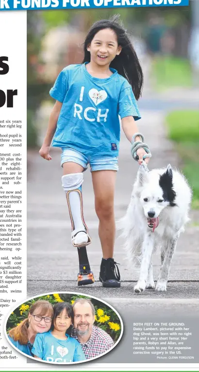  ?? Picture: GLENN FERGUSON ?? BOTH FEET ON THE GROUND: Daisy Lambert, pictured with her dog Ghost, was born with no right hip and a very short femur. Her parents, Robyn and Allan, are raising funds to pay for expensive corrective surgery in the US.