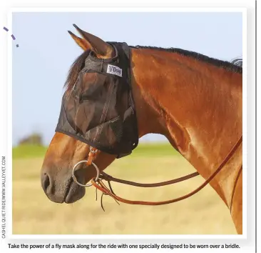  ??  ?? Take the power of a fly mask along for the ride with one specially designed to be worn over a bridle.