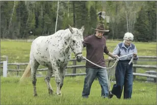  ?? Irfan Khan Los Angeles Times ?? THERE’S “positive energy in bringing life into this world sort of on your terms,” Cheryl Palmer said. Now in their 70s, the Palmers spend their time tending their farm in Montana.