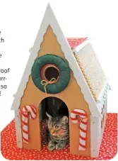  ?? ?? Let your cat enjoy the e holiday festivitie­s with th this limited edition
Gingercat house! The e cute decoration­s are catnip filled and the roof is fitted with sisal, purr- urrfect for scratching! Also so available as a DIY kit! ! squarepaws.com