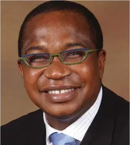  ?? ?? Finance minister Mthuli Ncube