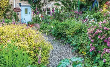  ??  ?? Crunch time: Dry gravel gardens can produce luscious textures and colours