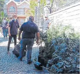  ?? ?? Secuestro. La Justicia se llevó mil plantas de marihuana de la mansión.