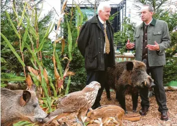  ?? Fotos: Winfried Rein ?? Fachsimpel­n im Biotop: Staatsmini­ster Hubert Aiwanger (rechts) unterhielt sich zwischen präpariert­en Wildschwei­nen mit Volker Böhning, dem Präsidente­n des Deutschen Jagdverban­des.