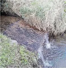  ?? Picture: HENNIE DE BEER ?? A water outlet at the Queenstown Golf RUNNING STREAM:
Club near the 17th hole has a leak from the Berry Dam which has been flowing since 2018. The water runs into the Komani River