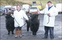  ?? All photograph­s: Kevin McGlynn ?? Clockwise from left: Nine-year- old Kate Cameron from Glen Lonan came away with the best young handler for the 12-and-under age group on Sunday; husband and wife team Stuart and Bron Campbell who look after the Cladich fold owned by Queenie Strickland with their top-selling beast at 1,600 gns; Jayden Maclachlan of Bute who took part in the young handlers section; female champion Sidonia 12th of Ormsary with stockman Alan Bosomworth Ormsary (she sold for 2,200 gns); Alan Bosomworth, Donald Darroch (who is stockman from Jura) and Archie MacArthur, farm manager for Sir William and Lady Lithgow at Ormsary with their haul of silverware at the dinner and trophy presentati­on; champion male Cameron Dubh of Kelby, owned by T P Radford and shown by stockman Daniel Rowbottom (the two-year- old bull sold for 6,500 gns); 16-year- old Asha Nelson from Glengorm, Isle of Mull, was delighted to get fourth place for her calf at show; Ken Fletcher of Scottish Farmer presents stockman Alan Bosomworth Ormsary (Sidonia the 12th of Ormsary took the championsh­ip rosette); winner of the young handler 16-and-under category, Kerry MacGillivr­ay of Pennygowa, Mull, is presented with her rosette by Claire Irving from Fearing.