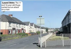 ??  ?? Laurel Drive The 17 and 16-year-old thugs carried out an attack on a man
