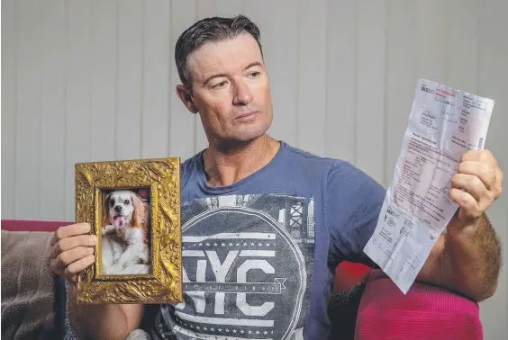  ?? Picture: JERAD WILLIAMS ?? Wes Pope was upset to receive a registrati­on renewal notice two years after he told the Gold Coast council about his dog’s death.