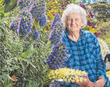  ?? Picture: Nev Madsen ?? FULL BLOOM: Long-term The Chronicle Garden Competitio­n entrant Ruby Brunner says her love of bringing joy to others is what keeps her coming back each year.