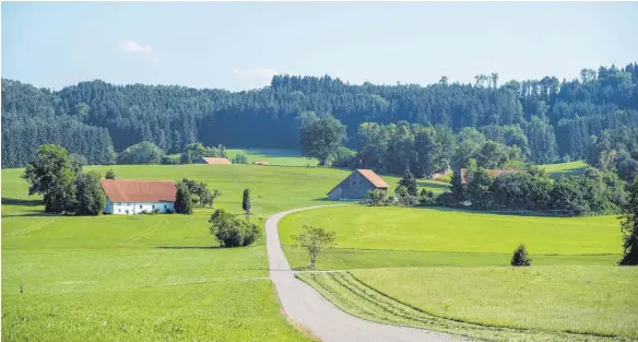  ?? FOTO: MICHAEL SCHEYER ?? Trügerisch­e Idylle: Versteckt hinter diesen sanften Hügeln, zwischen Wald und Wiesen bei Aichstette­n, fand ein Neonazi-Konzert unter Regie der Skinheadgr­uppierung Voice of Anger statt. Es ist nicht das erste Mal, dass sich die Neonazis ins Württember­gische ausbreiten.