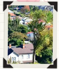  ??  ?? PLACE: Devonport DATE: January 2017 WEATHER: 23ºC, sunny, breezy TRAVELLER: Lucy Kahn COUNTRY: NEW ZEALAND