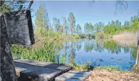  ?? FOTOS: JULIA FREYDA ?? Für ein idyllische­s Plätzchen müssen Besucher nicht weit laufen. Schon die erste Bank auf dem Riedlehrpf­ad am Naturschut­zzentrum in Wilhelmsdo­rf bietet herrliche Aussichten.