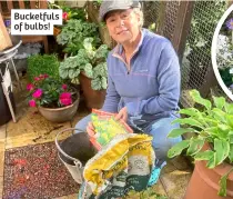  ?? ?? Bucketfuls of bulbs!