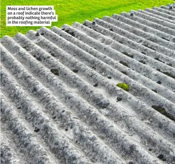  ?? ?? Moss and lichen growth on a roof indicate there’s probably nothing harmful in the roofing material