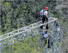  ?? THE ASSOCIATED PRESS FILES ?? Whitefish Energy Holdings employees work to restore power lines damaged by hurricane Maria in Barcelonet­a, Puerto Rico. The Federal Emergency Management Agency said on Friday that it had no involvemen­t in the decision to award a $300 million contract...