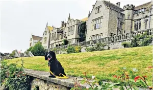  ??  ?? i Paws for thought: Bovey Castle, offers a dine-withyour-dog option stay, for two adults and up to two dogs (020 3642 3162; petspyjama­s.com).