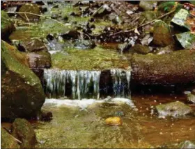  ?? PHOTO PROVIDED ?? A look at some of the Dewey Loeffel Toxic Landfill site in the Town of Nassau.