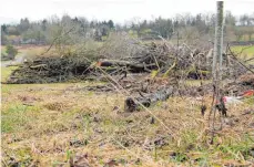  ?? SZ-FOTO: DANIEL HÄFELE ?? Im Wolfental haben die Mitarbeite­r der Stadt in den vergangene­n Tagen Bäume aufgrund des Eschentrie­bsterbens gefällt.