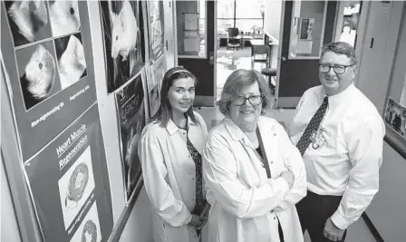  ?? ALEJANDRO A. ALVAREZ TNS ?? Ellen Heber-Katz (center), at Lankenau Institute for Medical Research, has discovered how to regenerate damaged nerves and other wounds in lab animals without scarring. She is seen with research assistant Alexis Mengel and institute CEO George Prendergas­t.