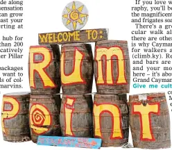  ??  ?? DRINK IT IN: With its barbecue stalls, Rum Point is a popular spot