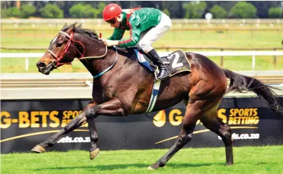  ?? Picture: JC Photograph­ics ?? CLASS COUNTS. Captain Of Tortuga is impeccably bred and is the one to beat in the Egoli Mile at the Vaal tomorrow.