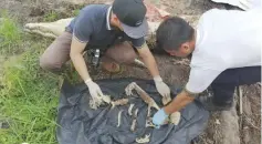  ??  ?? Human body parts found inside the crocodile.