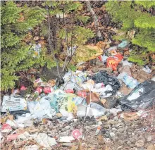  ?? IAN NATHANSON • CAPE BRETON POST ?? “There's no reason for doing this,” said Const. Arnold McKinnon, who noticed this pile of illegally dumped rubbish in eastend Sydney.