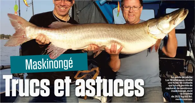  ?? PHOTO COURTOISIE ?? Le guide de pêche Luc Brunet nous révèle une foule de conseils qui lui ont permis de capturer de nombreux maskinongé, dont ce trophée de 28,12 kg (62 lb).