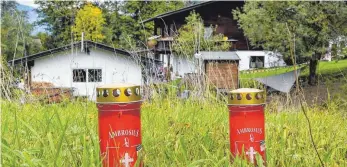  ?? FOTO: DPA ?? Grablichte­r hinter dem Haus in Kitzbühel, in dem ein 25-Jähriger fünf Menschen erschossen haben soll.