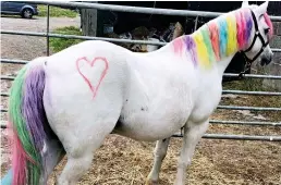  ??  ?? Mythical makeover: One horse gets the unicorn treatment