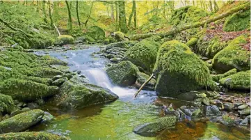  ?? ?? Eric Niven enjoyed a trek in rural Perthshire and says: “Birnam Glen is a lovely walk and I usually stop to look at the Inchewan Burn waterfall. It’s always a wee bit different.”