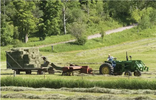  ??  ?? Purchasing hay before the farmer has to store the bales is the most economical way to buy.