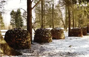  ??  ?? LE SENS DU DÉTAIL est poussé jusque sur la route qui conduit à la ferme où les tas de bois ressemblen­t à d’énormes pommes de pin.